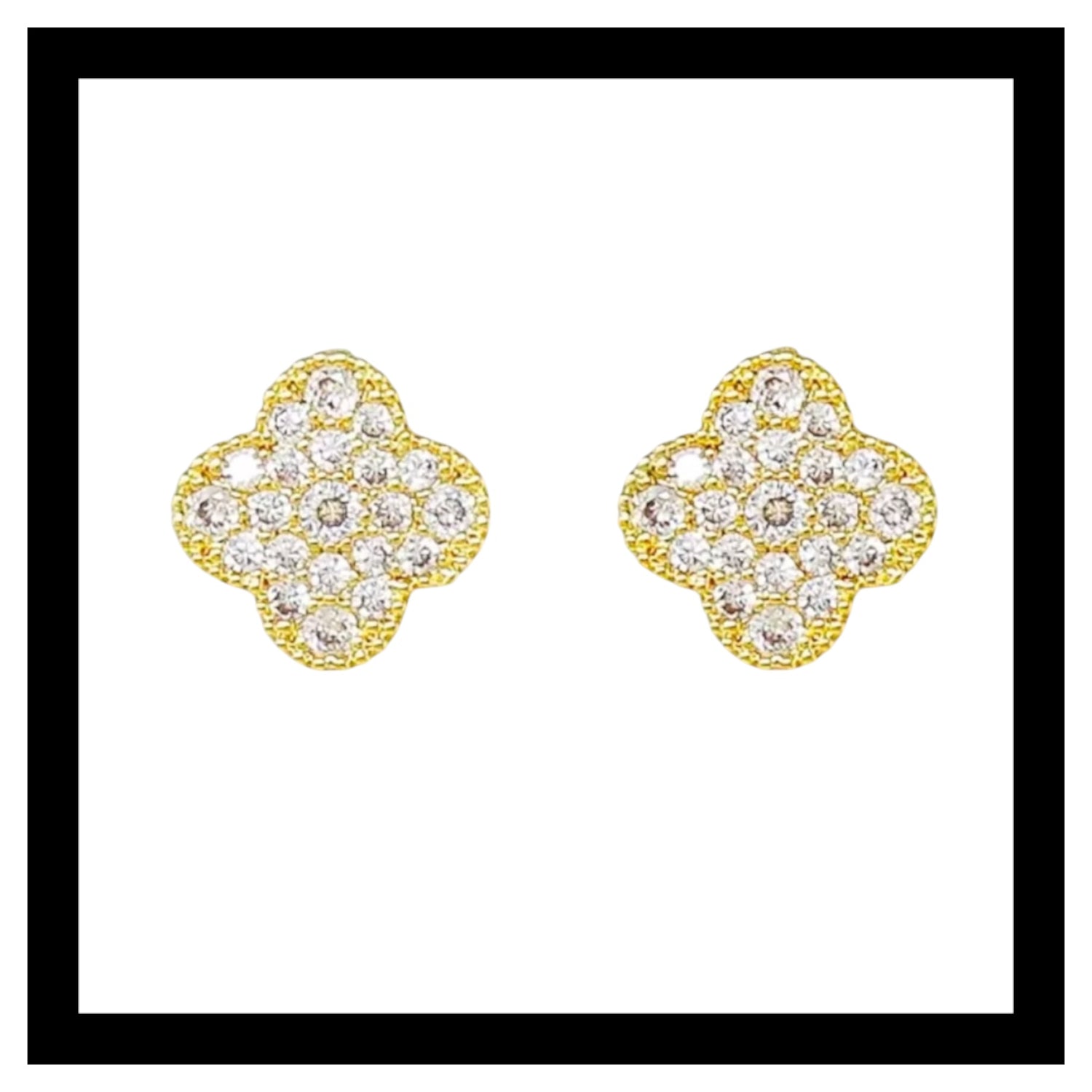 Women's Earrings