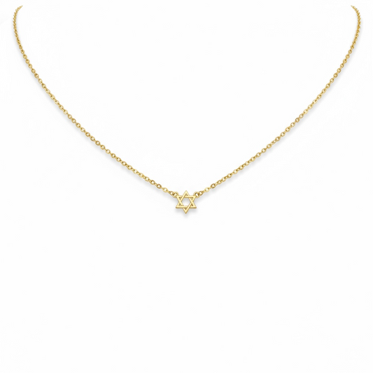 Tiny Star of David Necklace