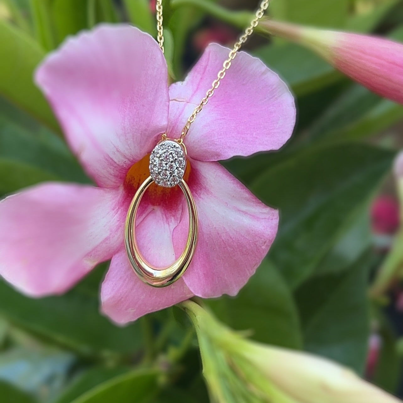 The Golden Loop Necklace 