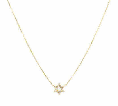 Mini Pave Star of David Necklace 