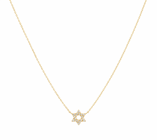 Mini Pave Star of David Necklace 