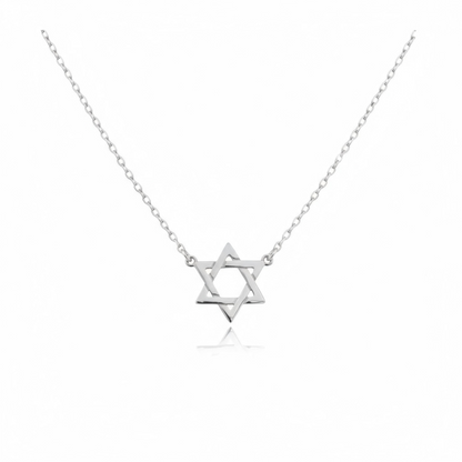 Mini Star of David Necklace 