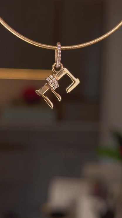 Pre order Baruch Hashem Charm