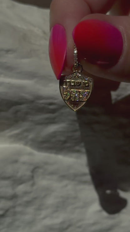 Pre Order Mi Shaberach Charm