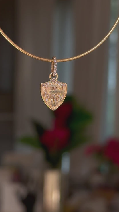 Pre Order Mi Shaberach Charm