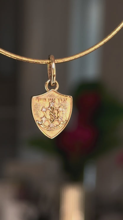 Pre Order Mi Shaberach Charm